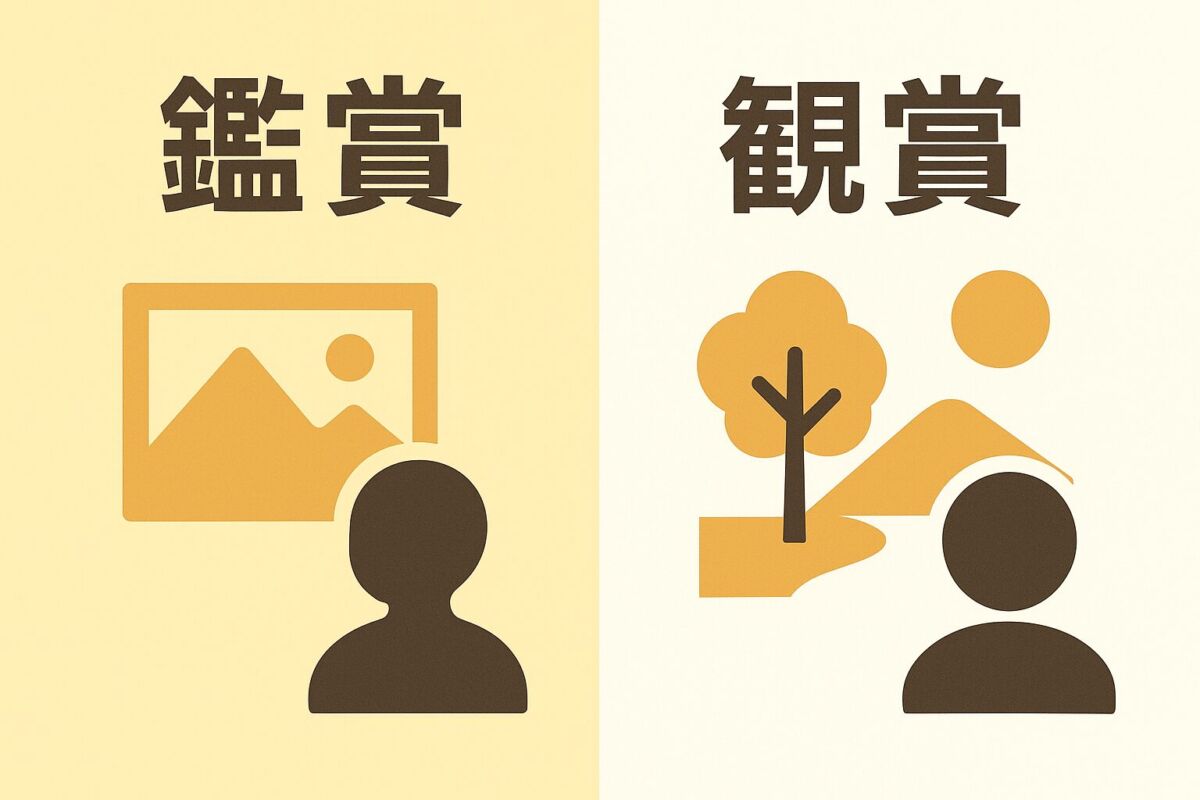 鑑賞と観賞の違いを示す教育用アイキャッチ画像