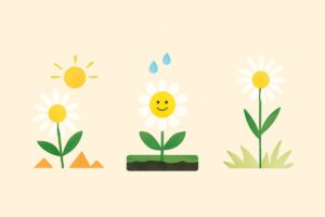 3つの花の育て方の違いを表すガーデニング風景イラスト